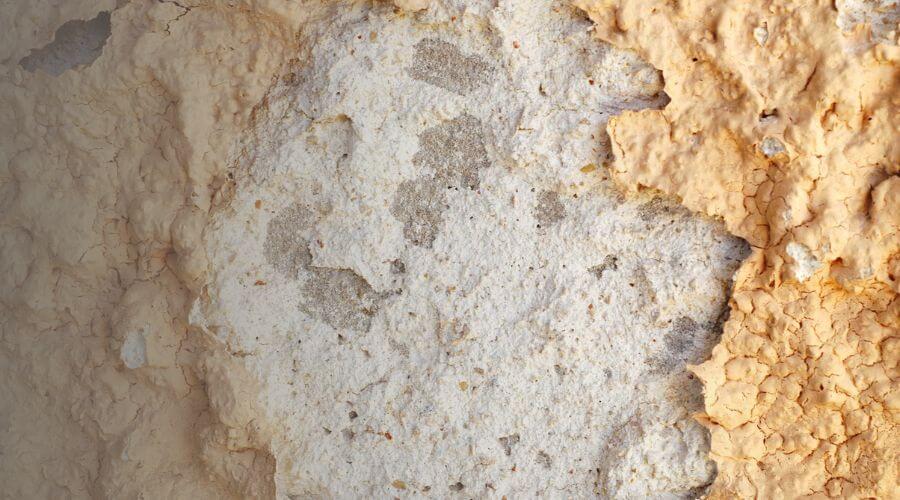 Why choose water damage cleanup for ceiling water damage repair in Scottsdale